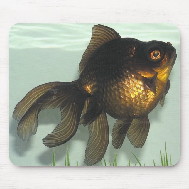 Alfombrilla De Ratón Negro-amarre el Goldfish (Frente)