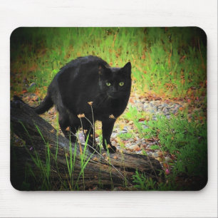 Alfombrilla De Ratón Negro en el gato negro arqueado verde