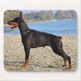 Alfombrilla De Ratón Negro y Tan Doberman Pinscher en la costa