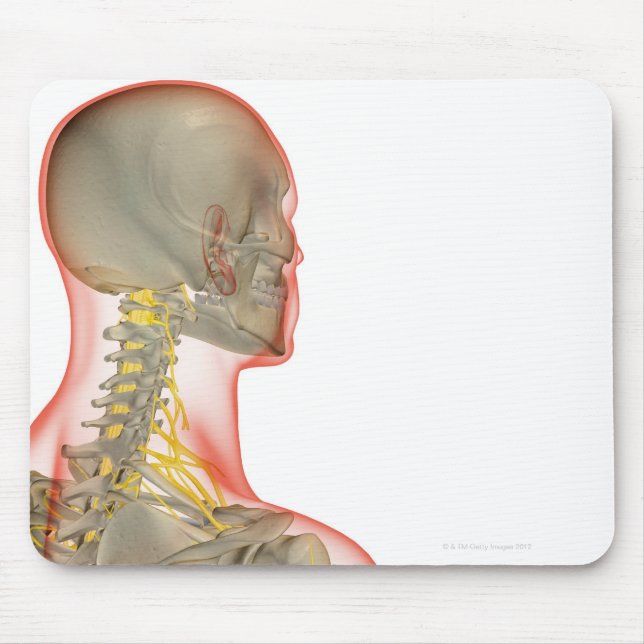 Alfombrilla De Ratón Nervios del Cuello 2 (Frente)