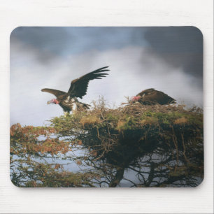 Alfombrilla De Ratón Nesting Vultures Mousepad