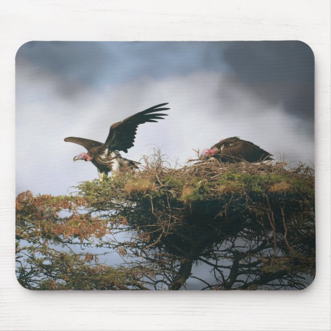 Alfombrilla De Ratón Nesting Vultures Mousepad (Frente)