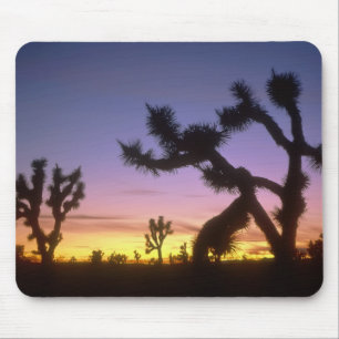 Alfombrilla De Ratón NEVADA. EE. UU. Árboles de Josué Yucca brevifolia)