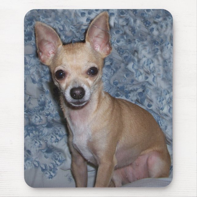 Alfombrilla De Ratón nibblesportrait (Frente)