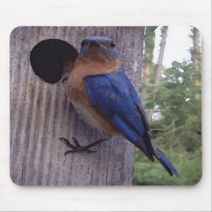 Alfombrilla De Ratón Nidal Mousepad del Bluebird