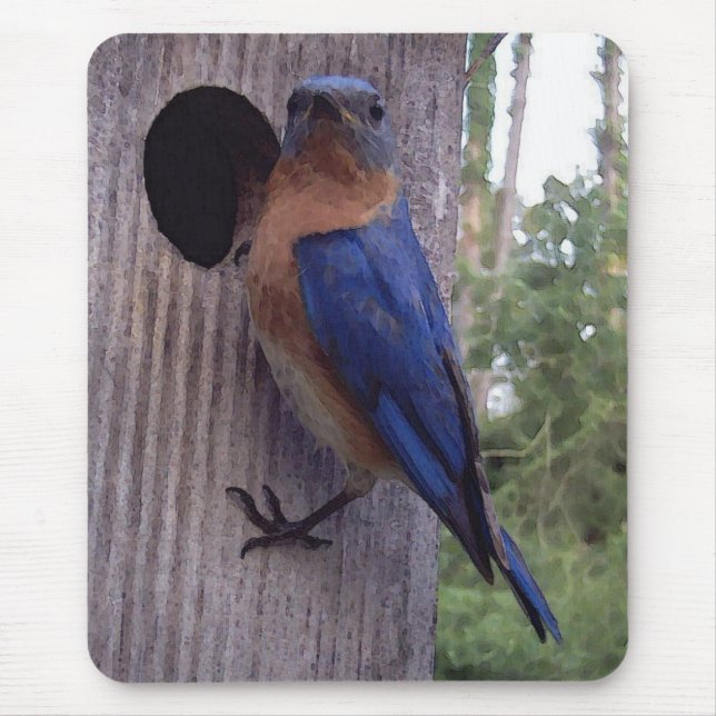 Alfombrilla De Ratón Nidal Mousepad del Bluebird (Frente)