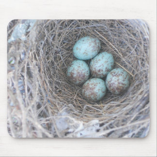 Alfombrilla De Ratón Nido de pájaro Mousepad con fotografía de huevos