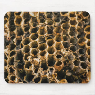 Alfombrilla De Ratón Nido vacío