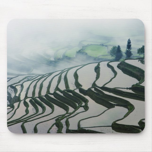 Alfombrilla De Ratón Niebla de la mañana sobre campos del arroz (Frente)