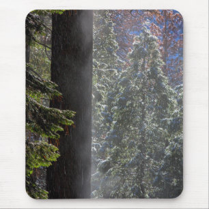 Alfombrilla De Ratón Niebla nevada en el bosque
