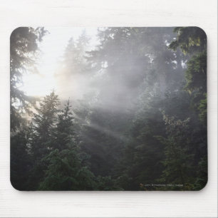 Alfombrilla De Ratón Niebla y haces de Sun en un bosque de Washington