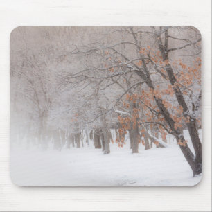 Alfombrilla De Ratón Nieve de invierno   Lago Kussharo