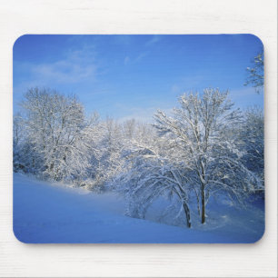 Alfombrilla De Ratón Nieve récord en Louisville, Kentucky.