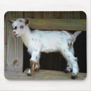Alfombrilla De Ratón Nigeriano colorido Dwarf Dairy Goat