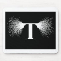 Nikola Tesla - bobina de Tesla - relámpago