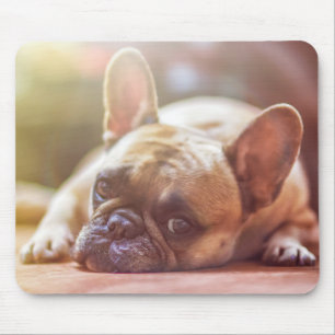 Alfombrilla De Ratón Niño aburrido del perrito