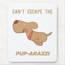 no puedo escapar de los cachorros-arazzi