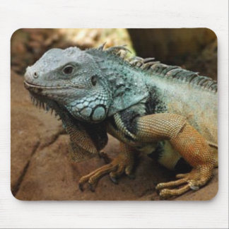 Alfombrilla De Ratón No sea azul