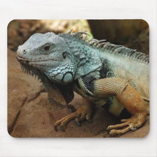 Alfombrilla De Ratón No sea azul (Frente)