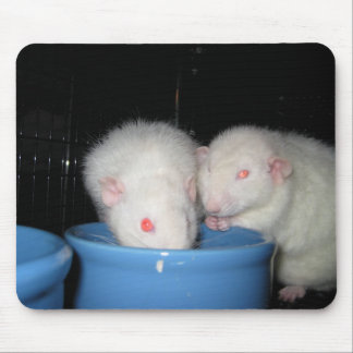 Alfombrilla De Ratón No un cojín de ratón…