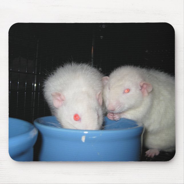 Alfombrilla De Ratón No un cojín de ratón… (Frente)