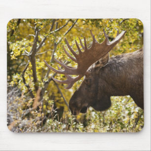 Alfombrilla De Ratón Noble Bull Moose