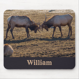 Alfombrilla De Ratón Nombre personalizado de Elk Bull Sparring