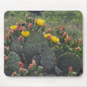 Alfombrilla De Ratón Nopal