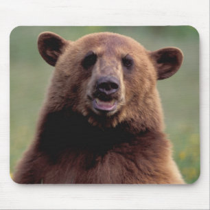 Alfombrilla De Ratón Norteamérica, California, oso negro de canela