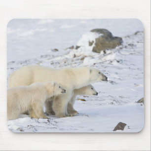 Alfombrilla De Ratón Norteamérica, Canadá, Manitoba, Churchill. 4
