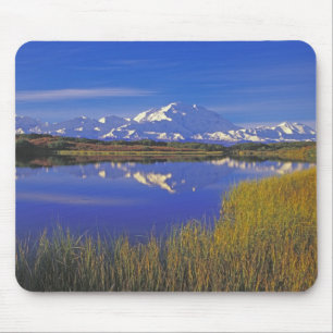 Alfombrilla De Ratón Norteamérica, EE. UU., Alaska, Parque Nacional Den
