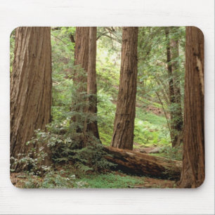 Alfombrilla De Ratón Norteamérica, EE. UU., California, Big Sur,