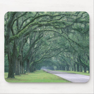 Alfombrilla De Ratón Norteamérica, EE. UU., Georgia, Savannah,