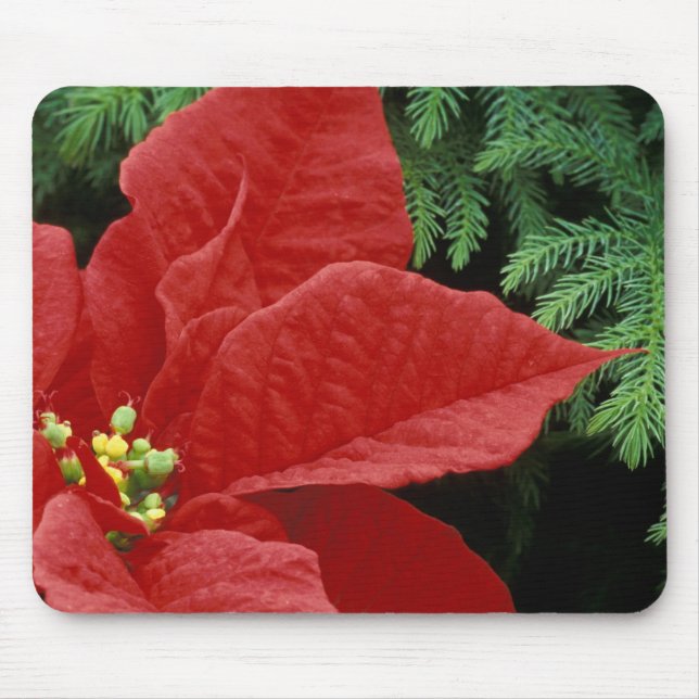 Alfombrilla De Ratón Norteamérica, EE.UU., WA, Woodinville, Red (Frente)