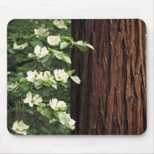 Alfombrilla De Ratón Norteamérica, Estados Unidos, California, Yosemit