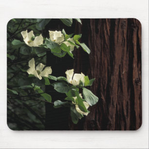 Alfombrilla De Ratón Norteamérica, Estados Unidos, California, Yosemit