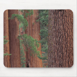 Alfombrilla De Ratón Norteamérica, Estados Unidos, California, Yosemit