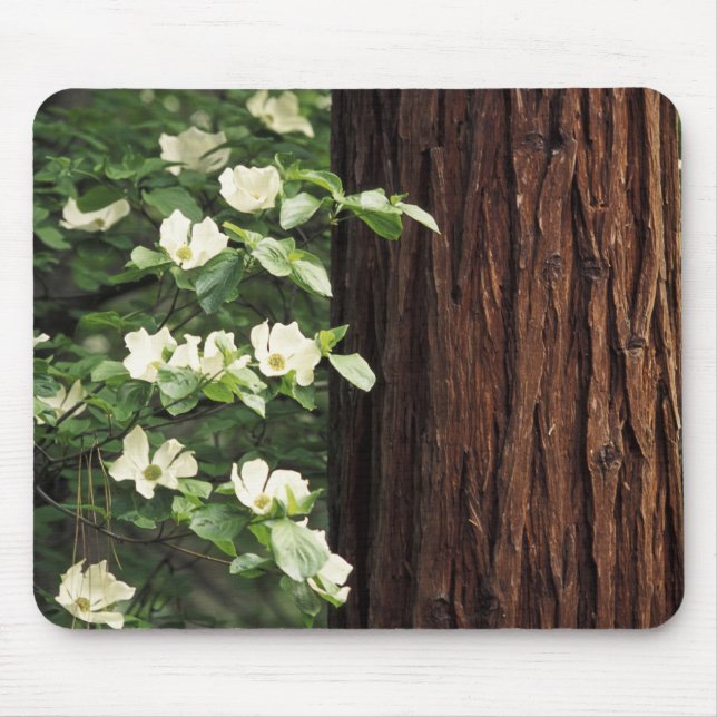 Alfombrilla De Ratón Norteamérica, Estados Unidos, California, Yosemite (Frente)