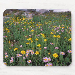 Alfombrilla De Ratón Norteamérica, Estados Unidos, Wyoming, Yellowston