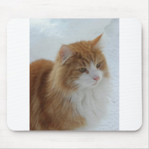 Alfombrilla De Ratón Noruega_Forest_Cat