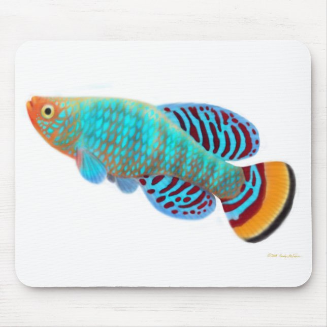 Alfombrilla De Ratón Nothobranchius Rachovii Killifish Mousepad (Frente)