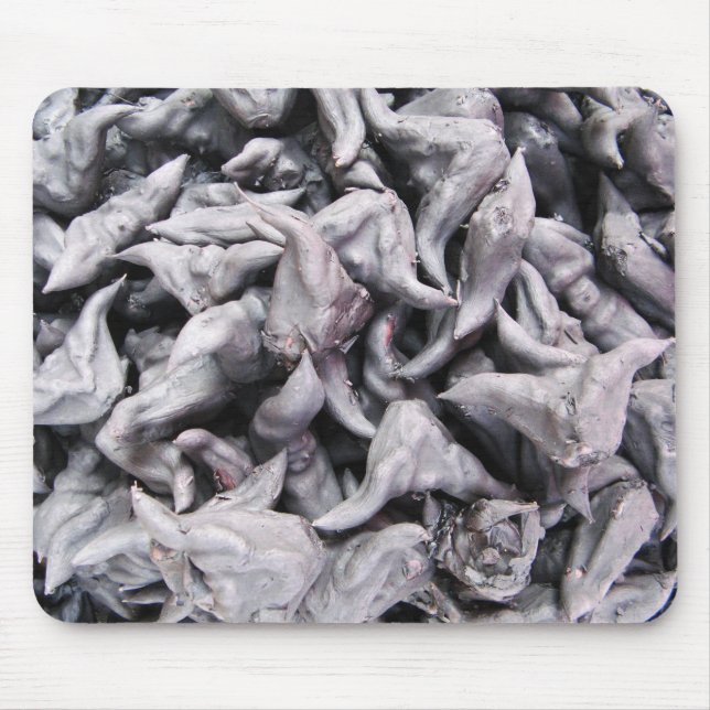 Alfombrilla De Ratón Nueces de búfalo - Caltropo de agua (Frente)