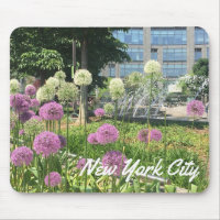 Nueva York Ciudad Columbus Circle Allium Fountain