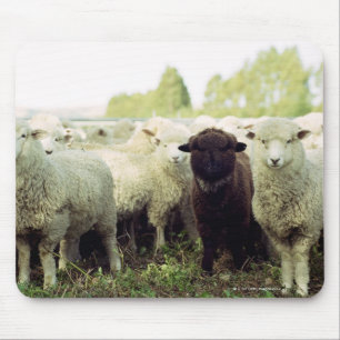 Alfombrilla De Ratón Nueva Zelanda