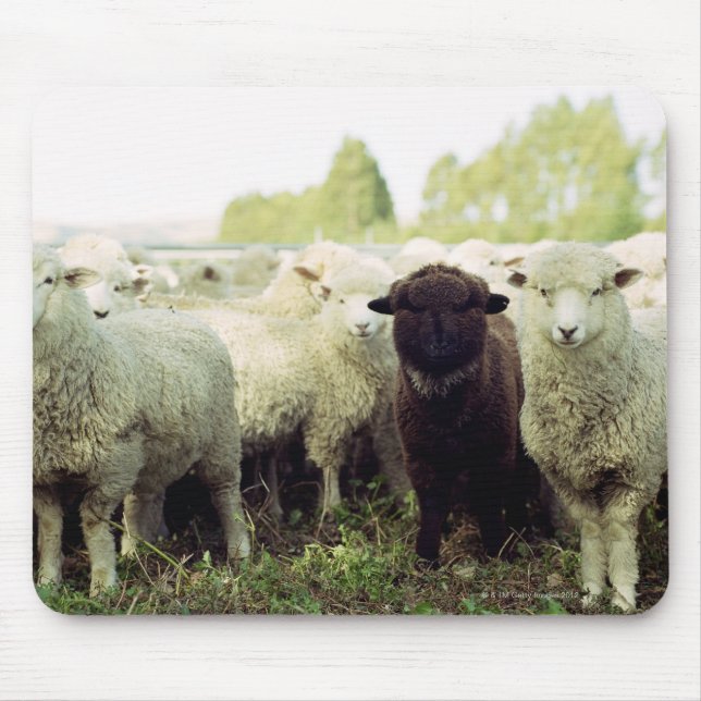 Alfombrilla De Ratón Nueva Zelanda (Frente)