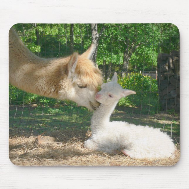 Alfombrilla De Ratón Nuevo Cria Mousepad (Frente)