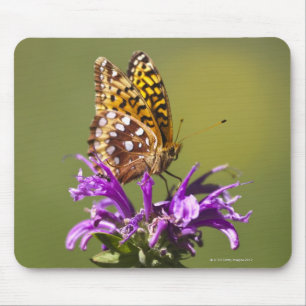 Alfombrilla De Ratón nuevo méxico, estados unidos de américa