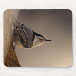 Alfombrilla De Ratón Nuthatch_Mousepad