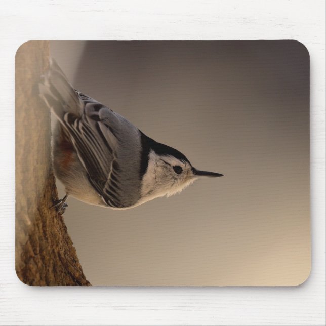 Alfombrilla De Ratón Nuthatch_Mousepad (Frente)
