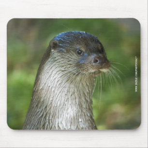 Alfombrilla De Ratón Nutria